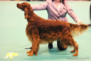 Stevie Crufts 2015