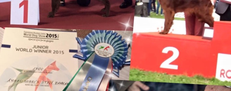 World Dog Show Milano 2015