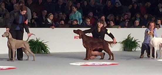 Expo Internazionale di Milano 2016