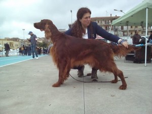 MultiJCh.Monna Lisa degli Angeli Rossi sr